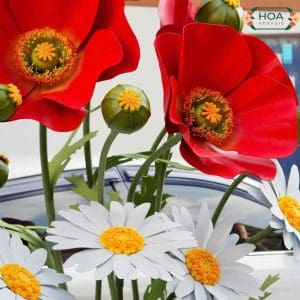 Sét Hoa Kết Hợp Giữ Hoa Anh Túc Và Cúc Họa Mi Xh010 – Nghệ Thuật Decor Cho Mọi Không Gian 14 Sét Hoa Kết Hợp Giữ Hoa Anh Túc Và Cúc Họa Mi Xh010 – Nghệ Thuật Decor Cho Mọi Không Gian - Ảnh 5