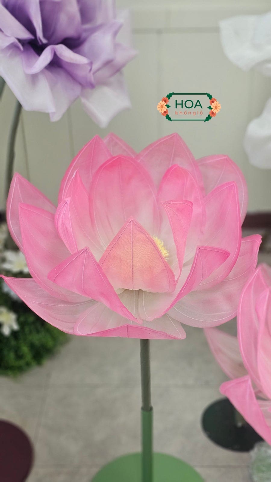 Sét hoa sen khổng lồ vải voan-XH027 8 Hoa Khổng Lồ còn cung cấp tùy chọn cá nhân hóa số lượng bông hoa