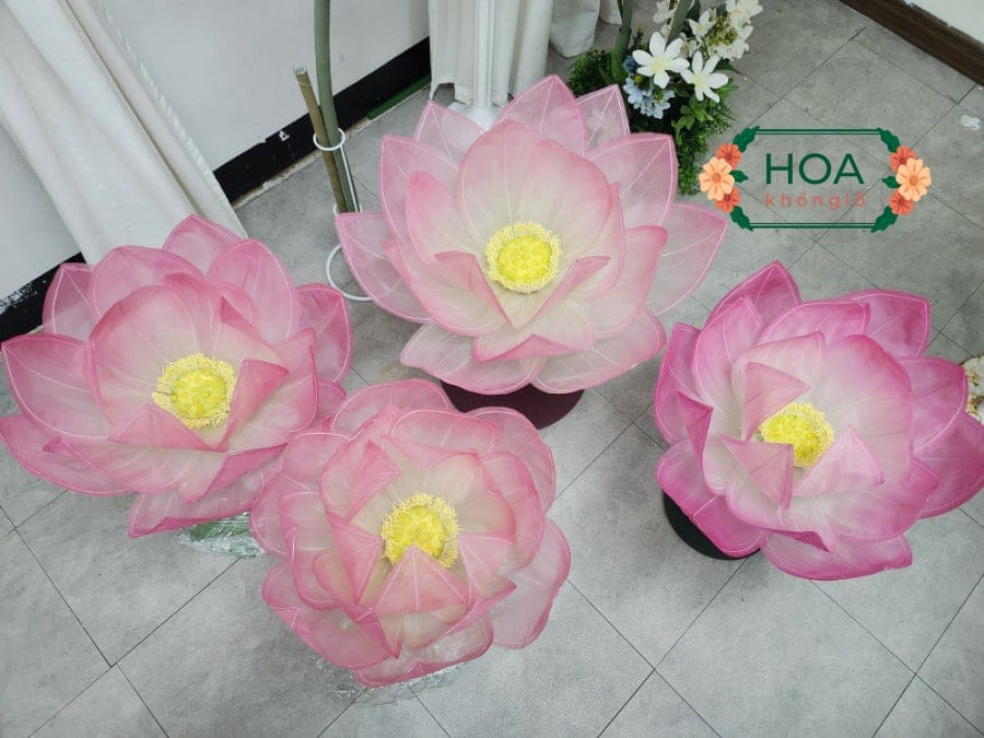 Sét hoa sen khổng lồ vải voan-XH027 12 Sét hoa sen khổng lồ vải voan-XH027 được sử dụng trong nhiều không gian khác nhau