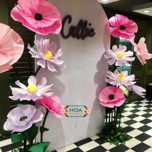 Sét hoa giấy nhún kèm back formex XH017