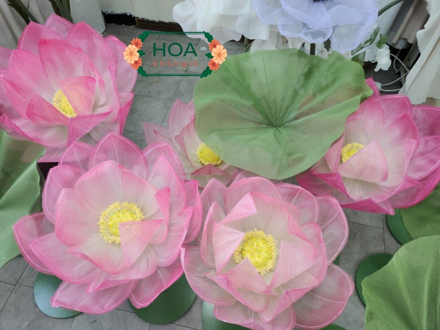 Set 5 Đầu hoa sen vải voan khổng lồ thủ công XH044 | Cao 170cm 8 Set 5 Đầu hoa sen vải voan khổng lồ thủ công XH044 | Cao 170cm - Ảnh 4
