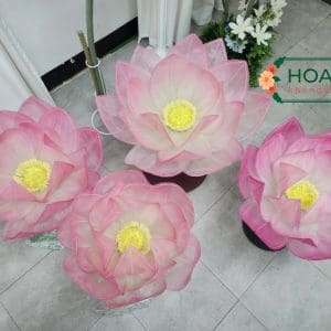 Set 5 Đầu hoa sen vải voan khổng lồ thủ công XH044 | Cao 170cm 11 Set 5 Đầu hoa sen vải voan khổng lồ thủ công XH044 | Cao 170cm - Ảnh 2