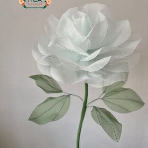 Cây hoa vải voan khổng lồ cao cấp XH043 - Khóm 2 cây | Cao 170Cm 15 Cây hoa vải voan khổng lồ cao cấp XH043 - Khóm 2 cây | Cao 170Cm - Ảnh 6
