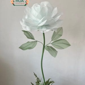 Cây hoa vải voan khổng lồ cao cấp XH043 - Khóm 2 cây | Cao 170Cm 14 Cây hoa vải voan khổng lồ cao cấp XH043 - Khóm 2 cây | Cao 170Cm - Ảnh 5