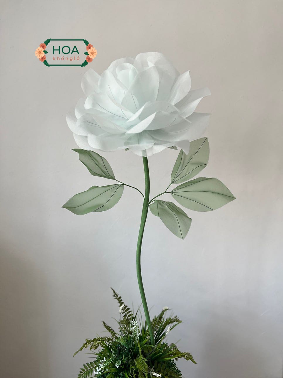 Cây hoa vải voan khổng lồ cao cấp XH043 - Khóm 2 cây | Cao 170Cm 9 Cây hoa vải voan khổng lồ cao cấp XH043 - Khóm 2 cây | Cao 170Cm - Ảnh 5