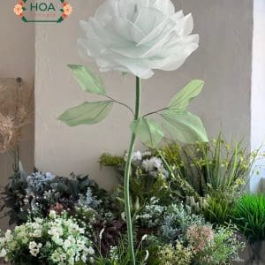 Cây hoa vải voan khổng lồ cao cấp XH043 - Khóm 2 cây | Cao 170Cm 13 Cây hoa vải voan khổng lồ cao cấp XH043 - Khóm 2 cây | Cao 170Cm - Ảnh 4