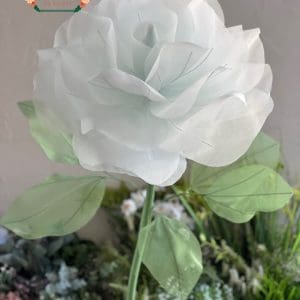 Cây hoa vải voan khổng lồ cao cấp XH043 - Khóm 2 cây | Cao 170Cm 12 Cây hoa vải voan khổng lồ cao cấp XH043 - Khóm 2 cây | Cao 170Cm - Ảnh 3