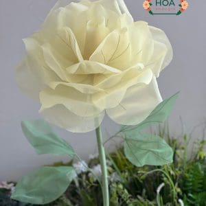 Cây hoa vải voan khổng lồ cao cấp XH043 - Khóm 2 cây | Cao 170Cm 11 Cây hoa vải voan khổng lồ cao cấp XH043 - Khóm 2 cây | Cao 170Cm - Ảnh 2