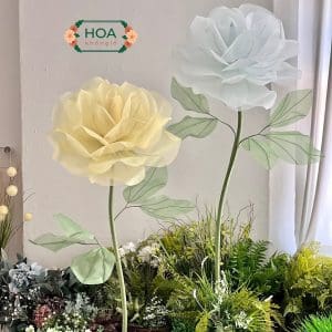 Cây hoa vải voan khổng lồ cao cấp XH043 - Khóm 2 cây | Cao 170Cm
