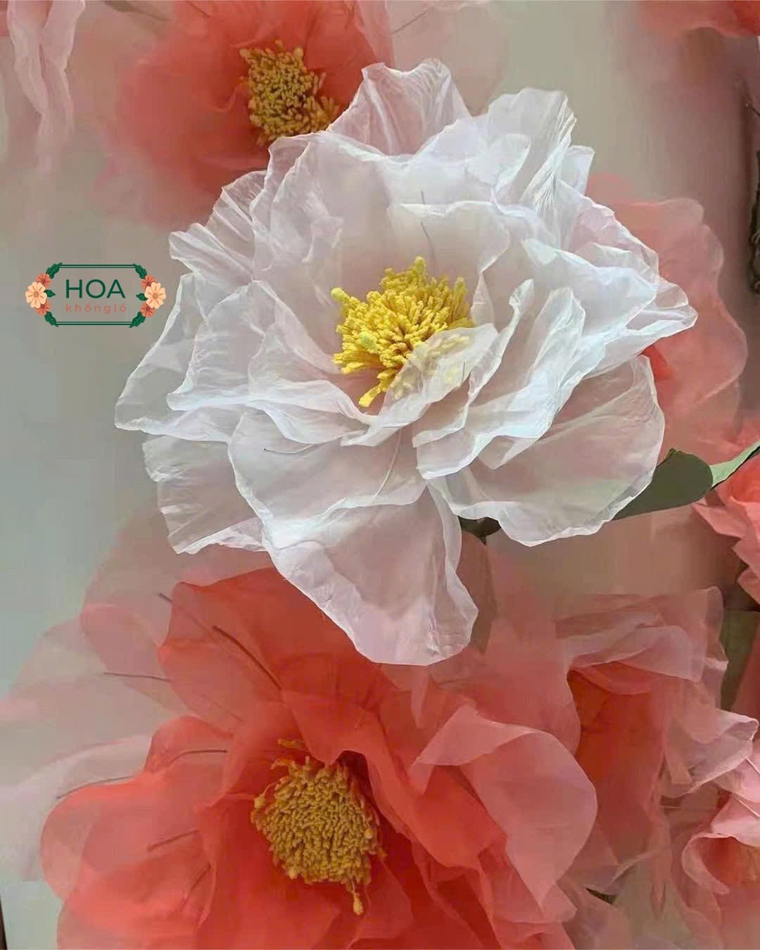 Ứng dụng Hoa khổng lồ Trang trí | Sáng tạo không gian checkin siêu ấn tượng 4 Tính thân thiện với môi trường giúp thương hiệu nhận được sự ủng hộ từ cộng đồng
