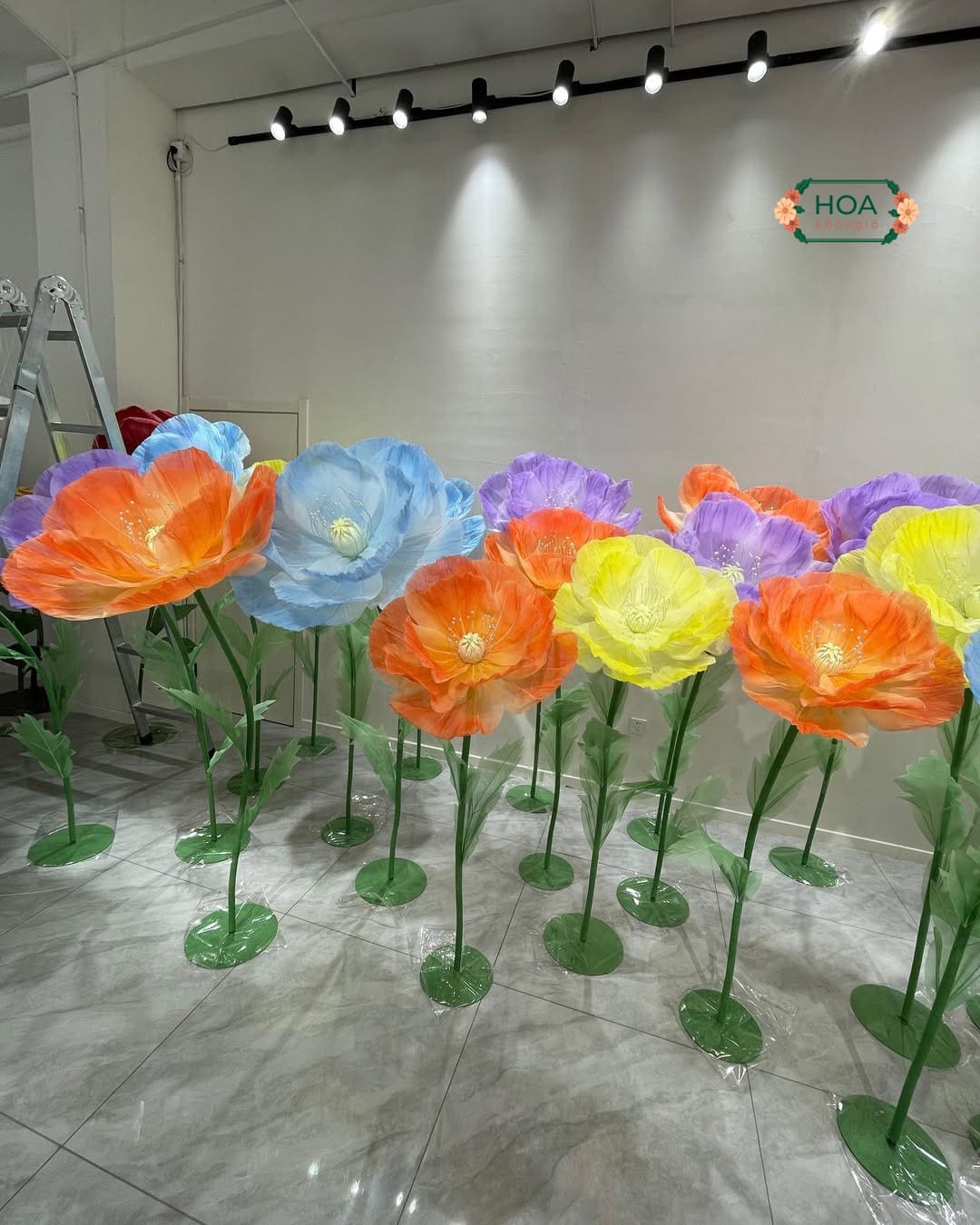 Lưu ý chọn backdrop Hoa Khổng Lồ theo đúng chủ đề