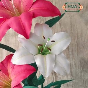 Hoa Ly Khổng Lồ tạo cảm giác đẳng cấp, sang trọng cho không gian