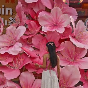 Dùng hoa đào mút xốp khổng lồ làm background sự kiện