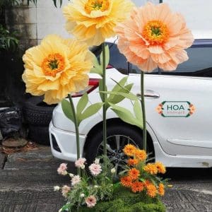 Hoa mẫu đơn khổng lồ là tâm điểm trang trí của nhiều không gian