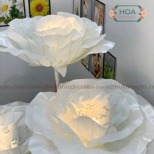Mẫu Hoa Hồng Thái Khổng Lồ Thủ Công Mới 2026 – Vẻ Đẹp Sang Trọng Đến Từ Hoa Khổng Lồ 13 Mẫu Hoa Hồng Thái Khổng Lồ Thủ Công Mới 2026 – Vẻ Đẹp Sang Trọng Đến Từ Hoa Khổng Lồ - Ảnh 4